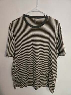 NWT Madewell Garment-Dyed Allday Crewneck Tee striped green and brown size M.
